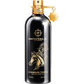 Arabians Tonka – Montale